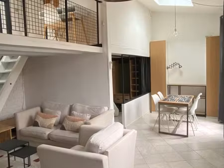 atypique mini loft 43m2