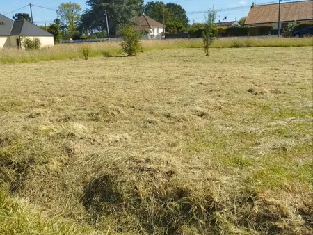 terrain constructible