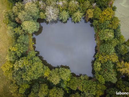 étang de loisir en pleine nature - fougerolles