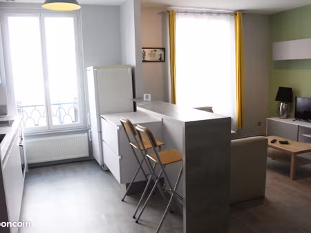 bel appartement rénové au cœur du centre-ville
