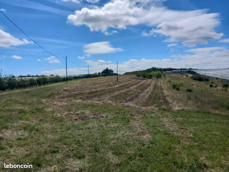 terres agricole