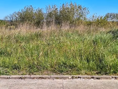 terrain 401 m² saint lys