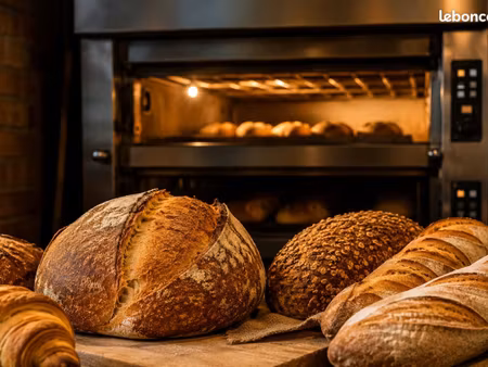 terminal de cuisson boulangerie snacking belle opportunité