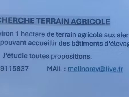 recherche terrain agricole