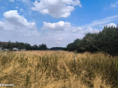 terrain 1 898 m² berengeville la campagne