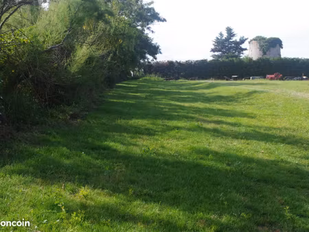 terrains de 4ha sur les hauteurs de montauban
