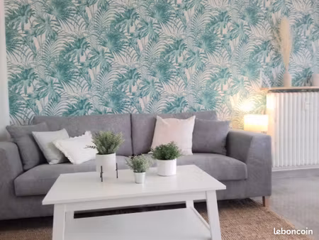 appartement 65 m2