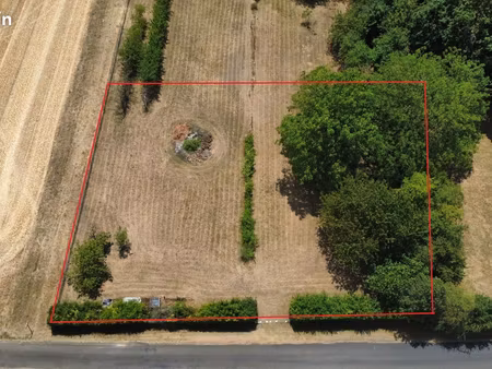 terrain constructible