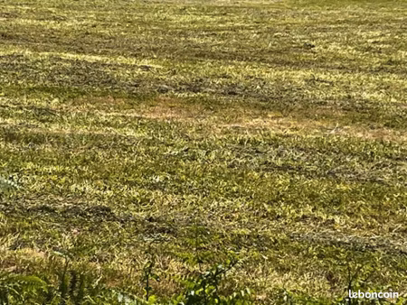 terrain 530 m² pisany