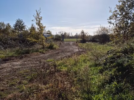 terrain agricole arbore de 1ha avec puit
