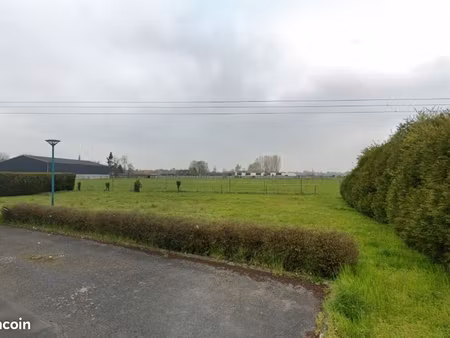 terrain 443 m² ecaillon
