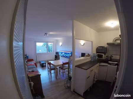 appartement loos t2 44 m2