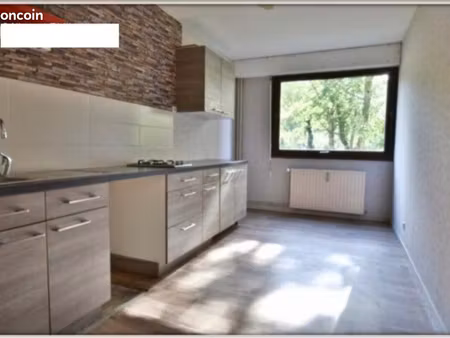 appartement 43m2 f1bis