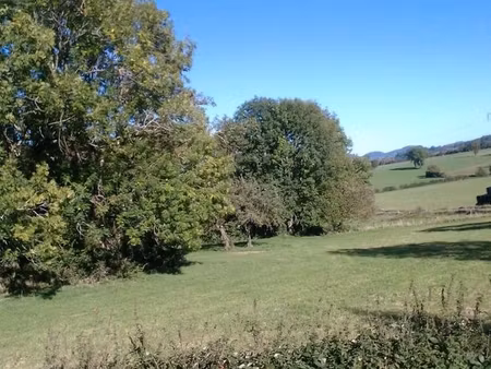 terrain à la campagne