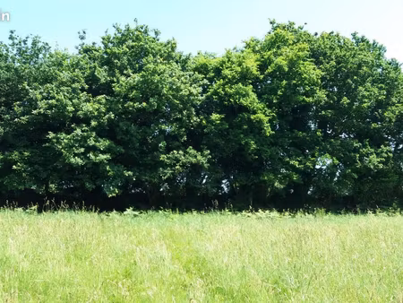 terrain 934 m² frehel