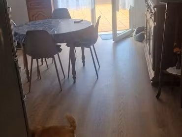 appartement templeuve une chambre 40m2