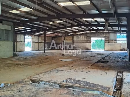 entrepot - logistique 1000 m² naintre