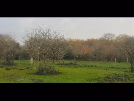 location pré chevaux
