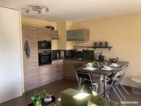 charmant appartement t2 mâcon centre