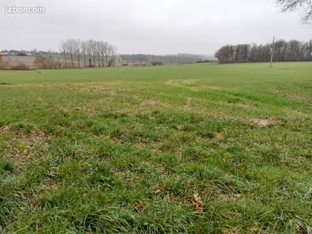 terres agricoles