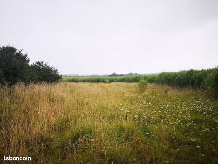 terrain agricole de 1100 m² environ