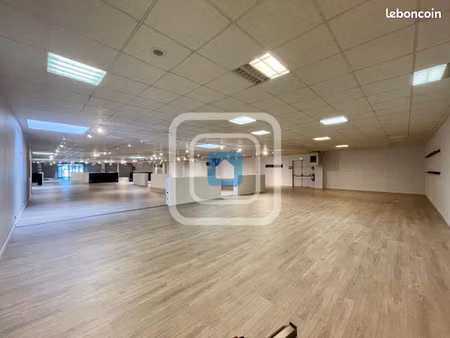 local commercial 1 000 m²