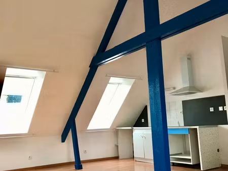 appartement t1 type loft