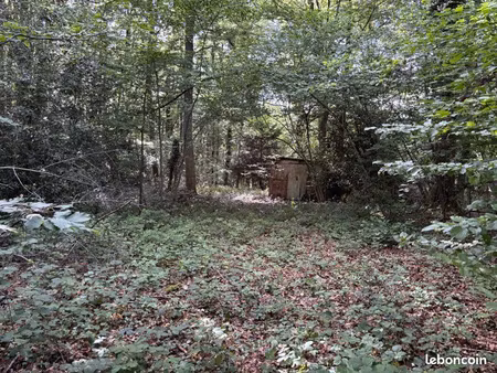 terrains de loisirs ( bois )