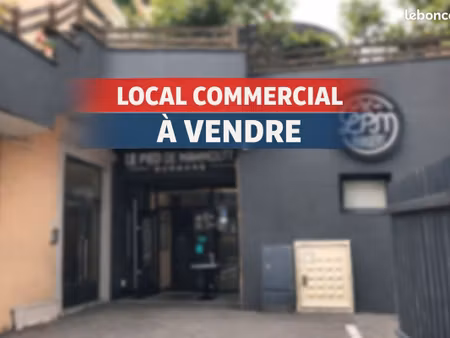 local commercial 325 m² illkirch graffenstaden