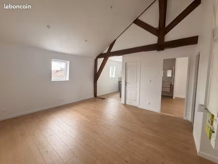 appartement -hypercentre