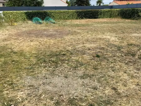 terrain constructible