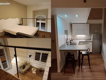 appartement type loft – meublé – refait à neuf