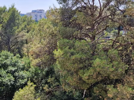 t4 101m² terrasse 30 m² donnant sur le parc de la lironde