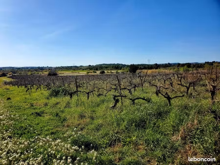 terrain 356 m² loupian