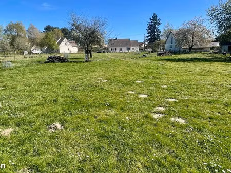 terrain constructible