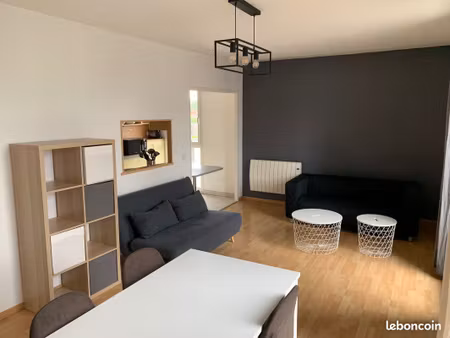etudiant - appartement t3 rénové de 78 m² – lille saint maurice