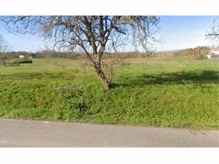 à vendre 2 terrains constructibles à belus (40300)