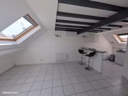 studio 1 pièce 19 m²