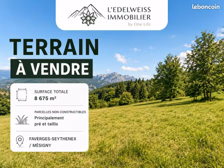 terrain 8675 m² faverges-seythenex