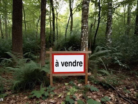 parcelle forestière
