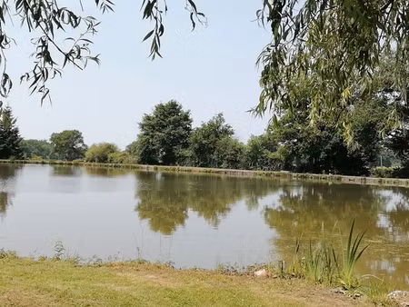 etang ( recherche )