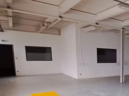 local professionnel + bureaux + espace d'activité