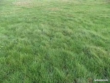 terrain 1 417 m² fay les nemours