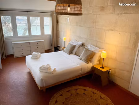 maison de caractère en pierre : vue rhône : trinquetaille  arles : 900/mois