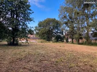 terrain constructible
