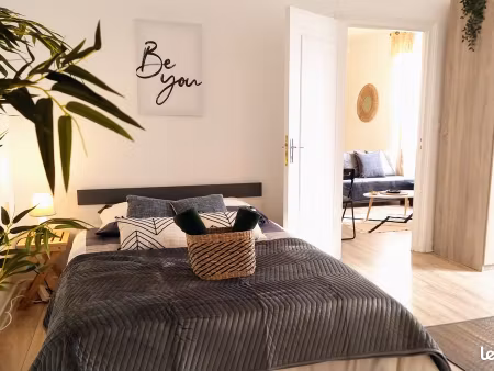 appartement t2 45m2 - quartier comédie