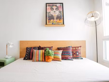 studio 1 pièce 24 m²