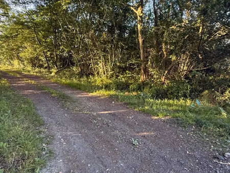 terrain de loisir boisé à argences