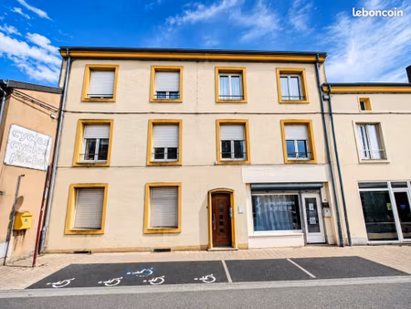 immeuble de 295 m2 + 8 garages + grenier