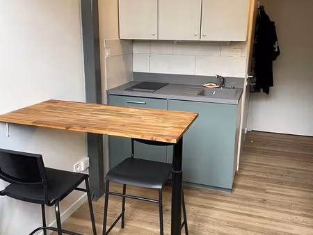magnifique studio avec mezzanine face lycée du parc
